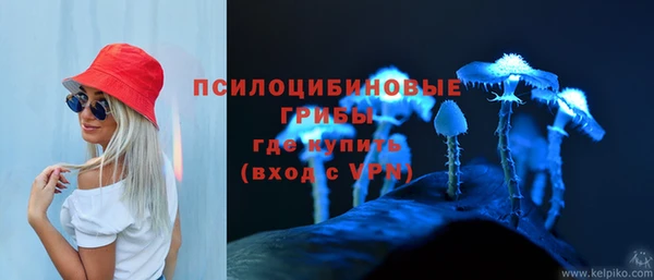 ПСИЛОЦИБИНОВЫЕ ГРИБЫ Лиски