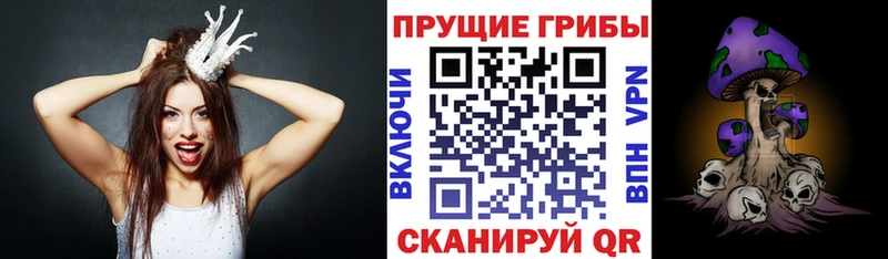 Псилоцибиновые грибы GOLDEN TEACHER  что такое   Северодвинск 